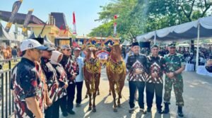 Festival Sapi Sono’ 2024, Ajang Pelestarian Budaya Madura