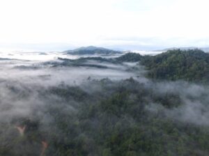 Dayak Wehea Penjaga Hutan Tropis Kalimantan