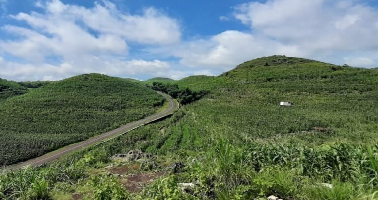 Gunung Bagus Yogyakarta, Jejak Sejarah dan Cinta di Desa Giring