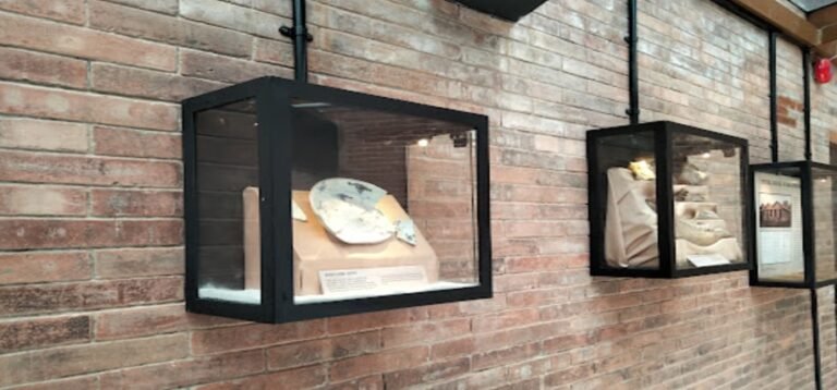 6 Destinasi Museum Unik Indonesia, Dari Naga Hingga Nyamuk