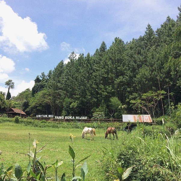 Wisata Alam Pangjugjugan