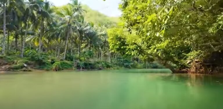 Menyusuri Sungai Maron, Amazon Di Pacitan