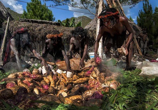 Tradisi Bakar Batu di Papua