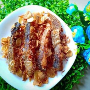 Wadi Patin, Olahan Ikan Fermentasi Khas Palangkaraya