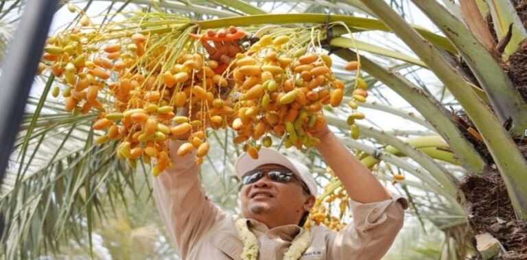 Kurma Park Pasuruan, Wisata Edukasi Saat Liburan