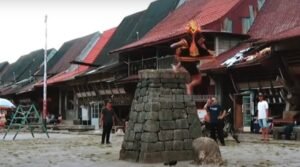 Tradisi Lompat Batu di Nias Eksis Hingga Kini