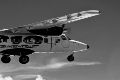Pesawat N219