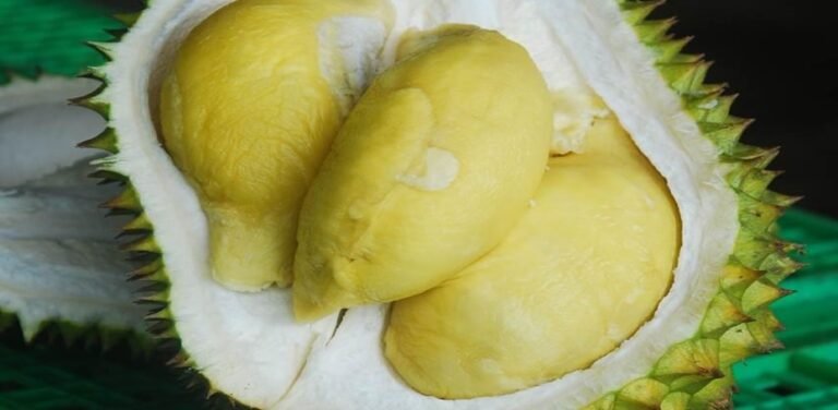 Petani Gembira, Durian Banjarnegara Memasuki Musim Panen