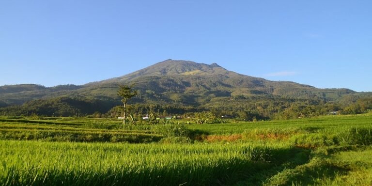 Gunung Lawu Macet Saat Libur Isra Miraj dan Imlek 2025