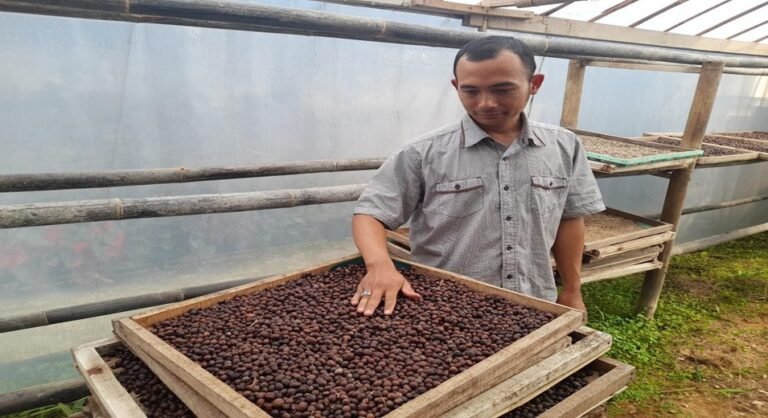 Saiful Amri dan Usaha Kopi Mulyo dari Wonosobo