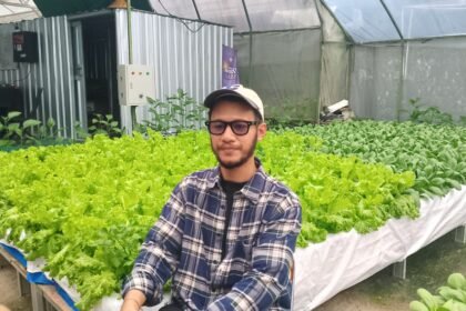 smart greenhouse