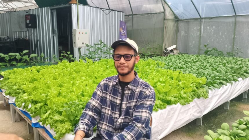 smart greenhouse