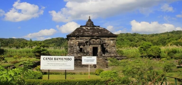 Candi Banyunibo Sleman, Sebatang Kara di Tengah Persawahan