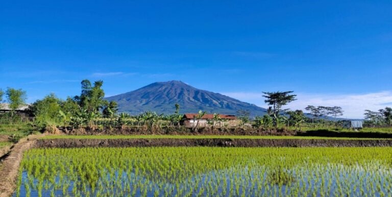 Legenda Arjuna dan Asal Usul Gunung Arjuno di Jawa Timur
