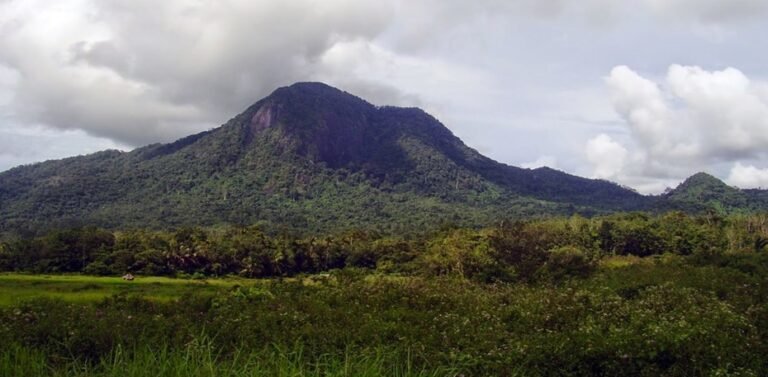 Dukung Ekowisata, Pemkot Singkawang Optimalkan Rimba Kota