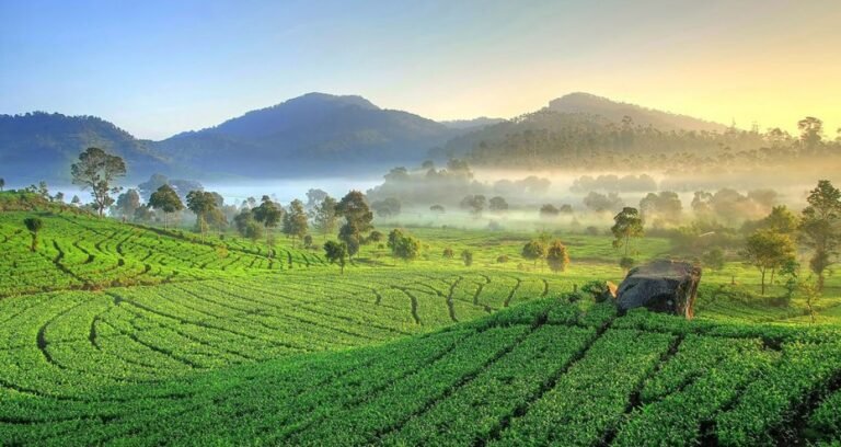 5 Rekomendasi Desa Wisata Eksotis di Kabupaten Bandung