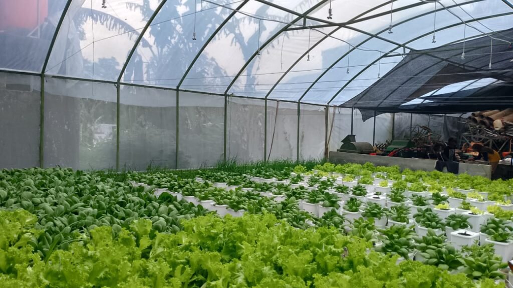 smart greenhouse