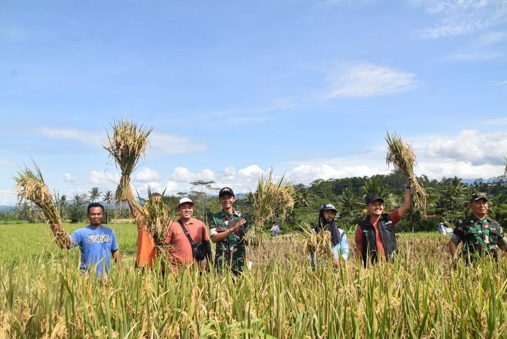 Kodim Wonosobo dan Bulog Jemput Gabah Petani, Pastikan Harga Kompetitif
