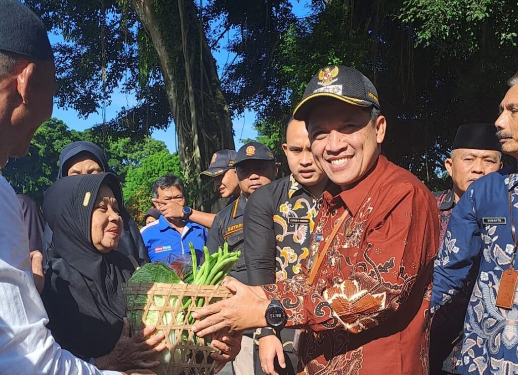paket sayur gratis