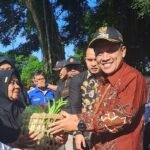 paket sayur gratis