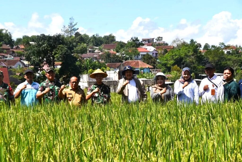 Kodim 0707/Wonosobo Siap Dukung Distan Sukseskan Swasembada Pangan