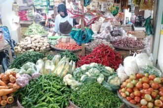harga bahan pokok
