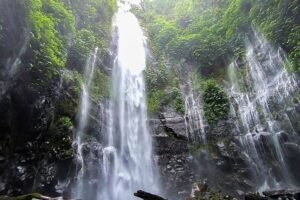 Menembus Hutan dan Kabut, Menemukan Pesona Curug Lawe