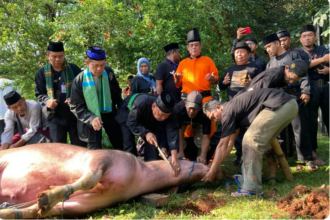 Tradisi Motong Kebo Andil