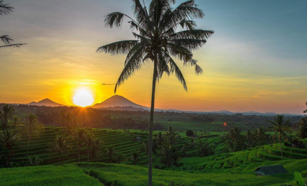 Ketika Desa Wisata Menembus Batas Dunia di Panggung WITF 2026
