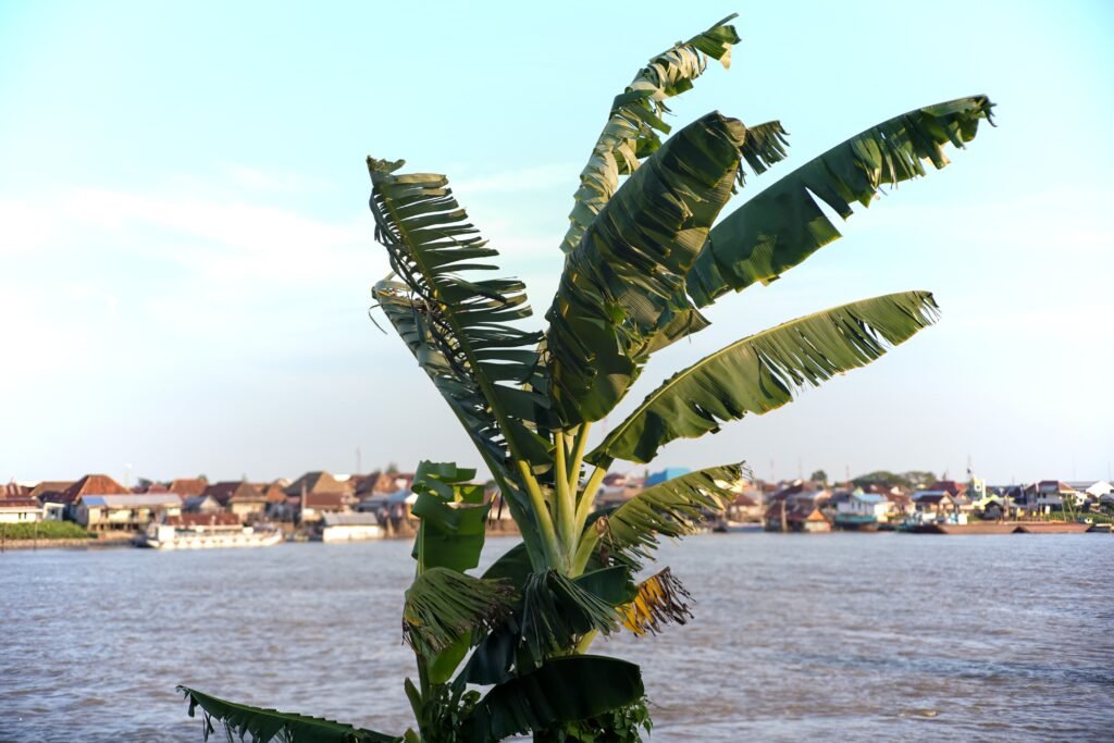 Tujuh Guci Emas dalam Legenda Pulau Kemaro