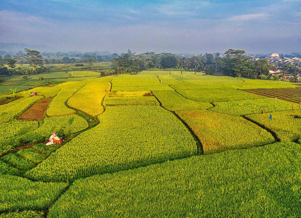 Retno Dumilah, Legenda Asal Mula Padi di Madura